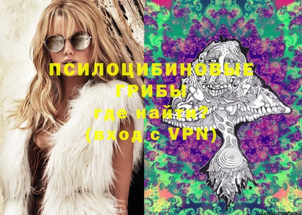 кокс Аркадак