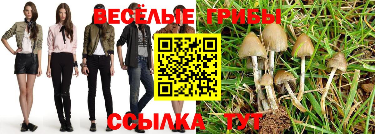 Псилоцибиновые грибы ЛСД  Галлюциногенные грибы GOLDEN TEACHER  Кубинка  Вход с VPN 